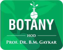 Botany